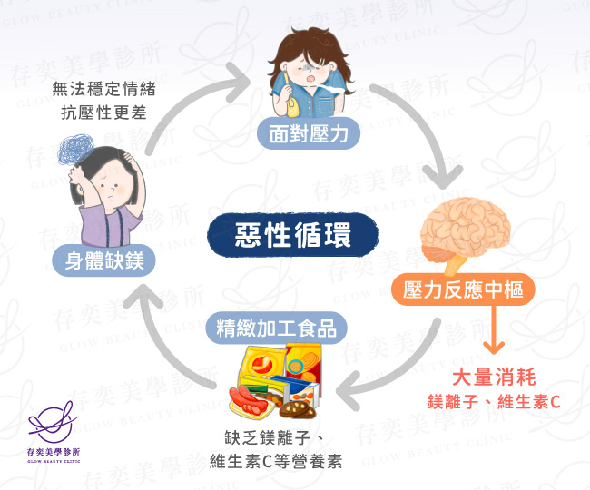 鎂離子可維持神經和肌肉的正常功用,穩定血壓、心跳,強化骨骼、調節血糖、脂肪分解、蛋白質生成等,面對壓力時,鎂離子與維生素C扮演重要的壓力調解角色 惡性循環-美容點滴v3