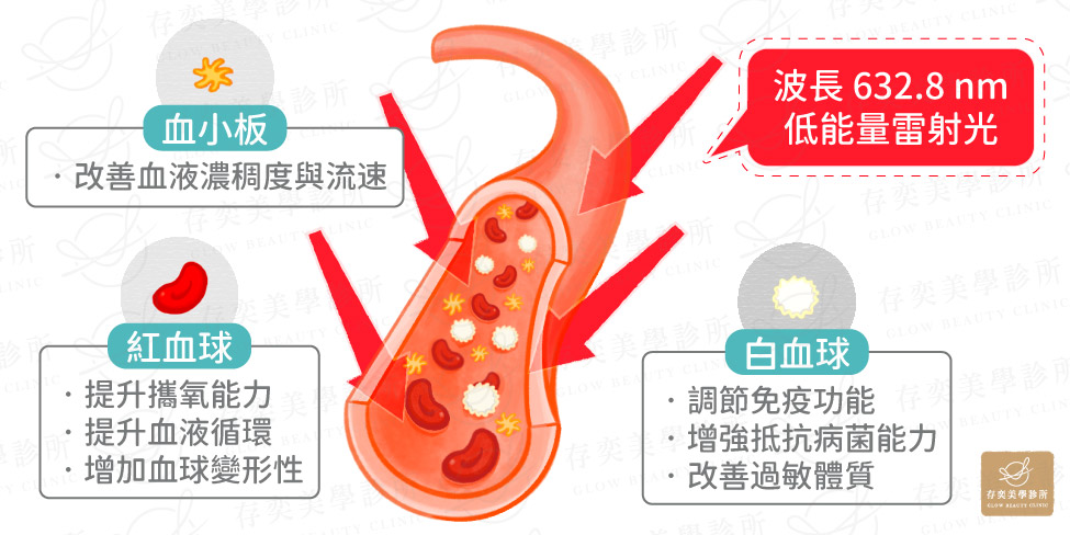 波長632.8nm改善血液循環及新陳代謝