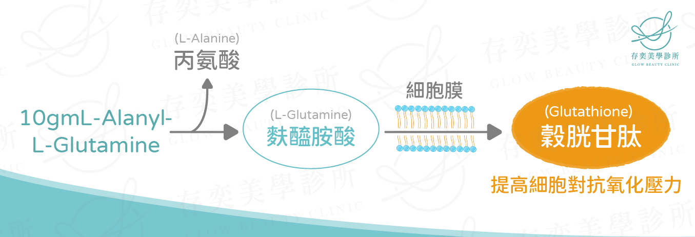 榖胱甘肽(GSH)合成-貝力多穀胱甘肽修復點滴/美容點滴/營養點滴是以胺基酸為基底,由左旋麩醯胺酸、半胱胺酸、甘胺酸這三個胺基酸合成的一個多胜肽分子,添加高價值的抗氧化劑,透過榖胱甘肽前驅物,讓身體自行合成為「榖胱甘肽(Glutathione)」 穀胱甘肽合成-02