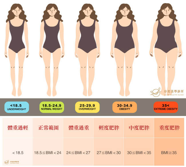 肥胖症定義_成人(18歲以上)身體質量指數BMI範圍對應表