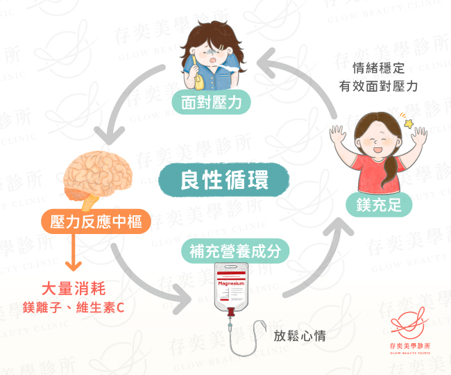 鎂離子可維持神經和肌肉的正常功用,穩定血壓、心跳,強化骨骼、調節血糖、脂肪分解、蛋白質生成等,面對壓力時,鎂離子與維生素C扮演重要的壓力調解角色 良性循環-美容點滴v2