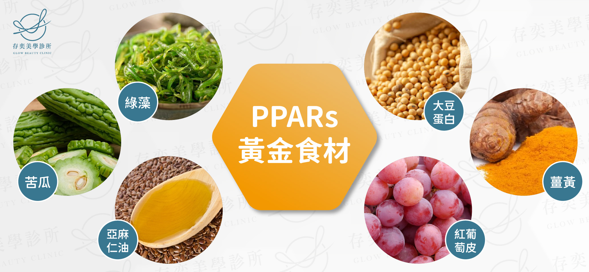 PPARs黃金食材-01