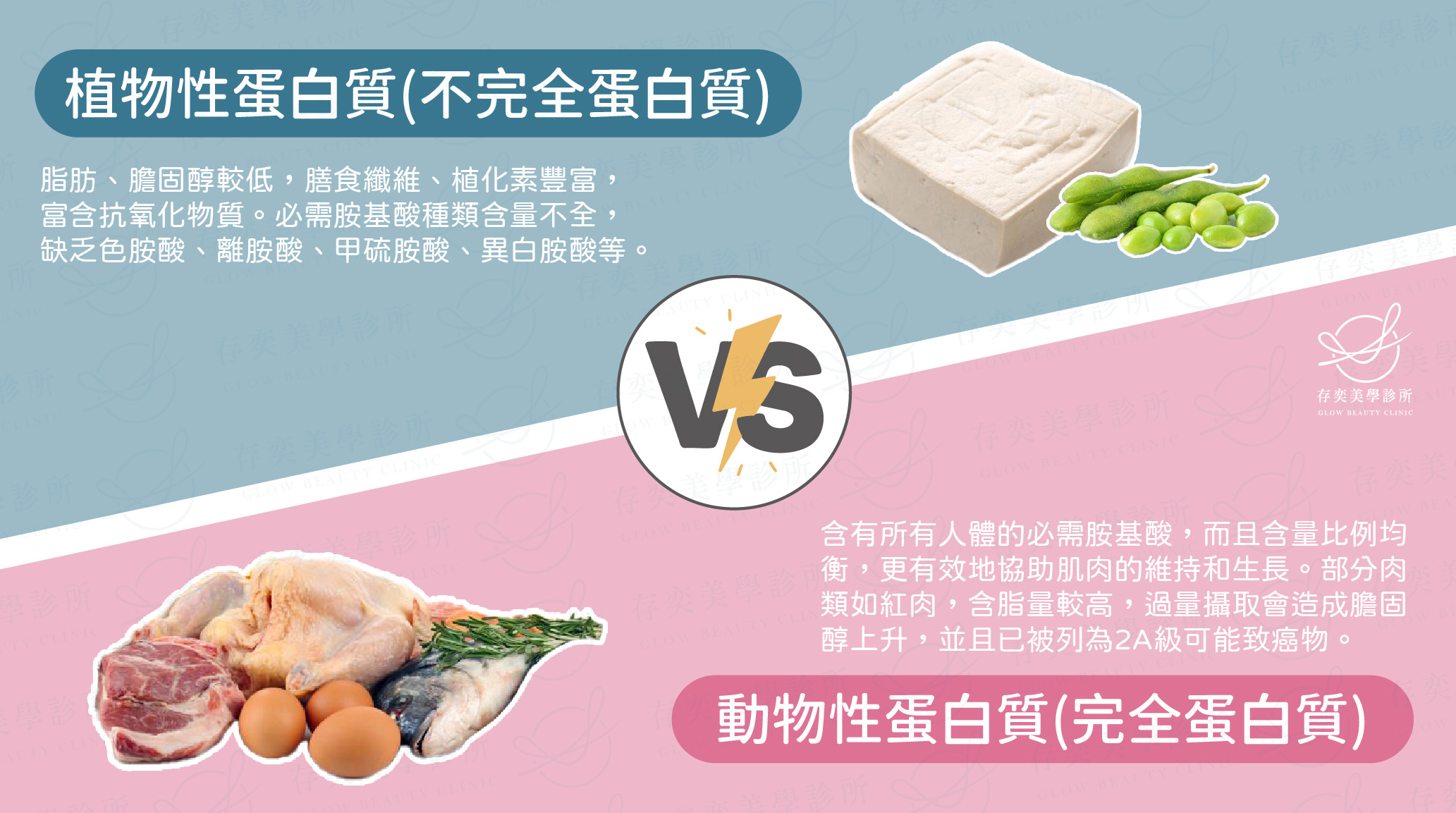 植物性與動物性蛋白質_工作區域 1