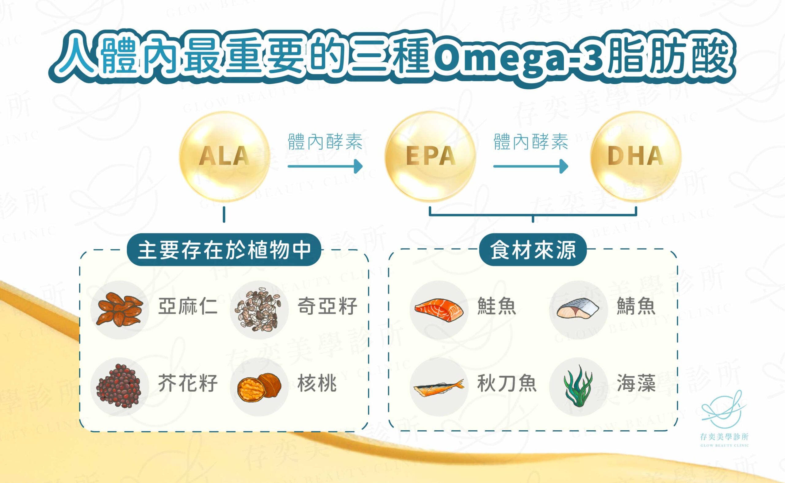 EPA是身體細胞膜主要成分,DHA是構成大腦及視網膜中的Omega-3主要成分,但這兩種Omega-3成分只有在少數魚類及藻類中,ALA主要存在植物中,人體攝取後結合並轉化成EPA、DHA,有些人無法有效製造這些脂肪酸,需要直接由食物中攝取EPA及DHA。 EPA是身體細胞膜主要成分DHA是構成大腦及視網膜中的魚油點滴Omega-3主要成分人體攝取後結合並轉化成EPADHA需要直接由食物中攝取EPA及DHA