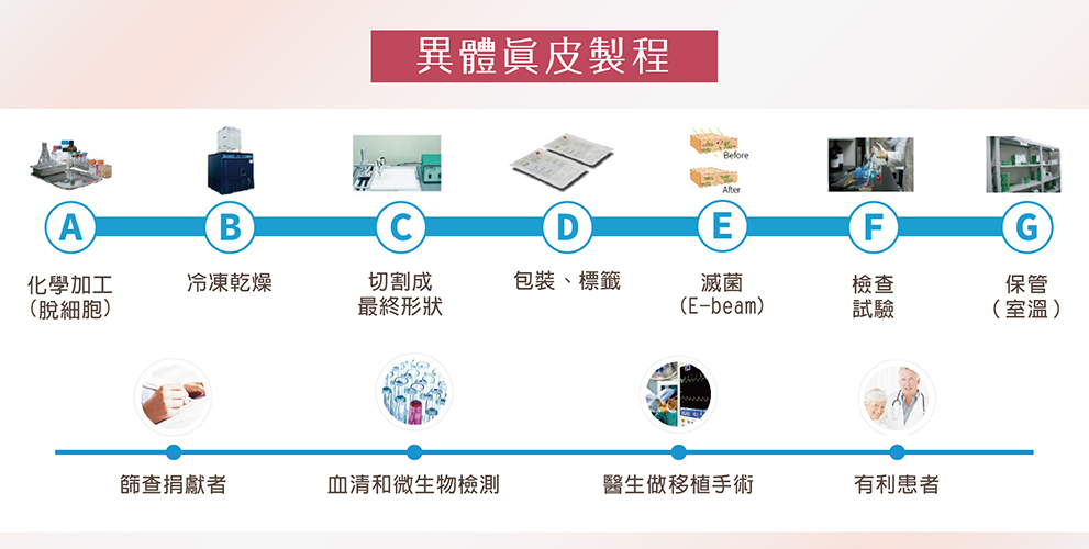 「異體真皮」取自人體皮膚真皮層,將皮膚與筋膜組織經特殊技術AlloClean™,脫細胞工程滅菌處理,製造為異體真皮材料。 異體真皮粉