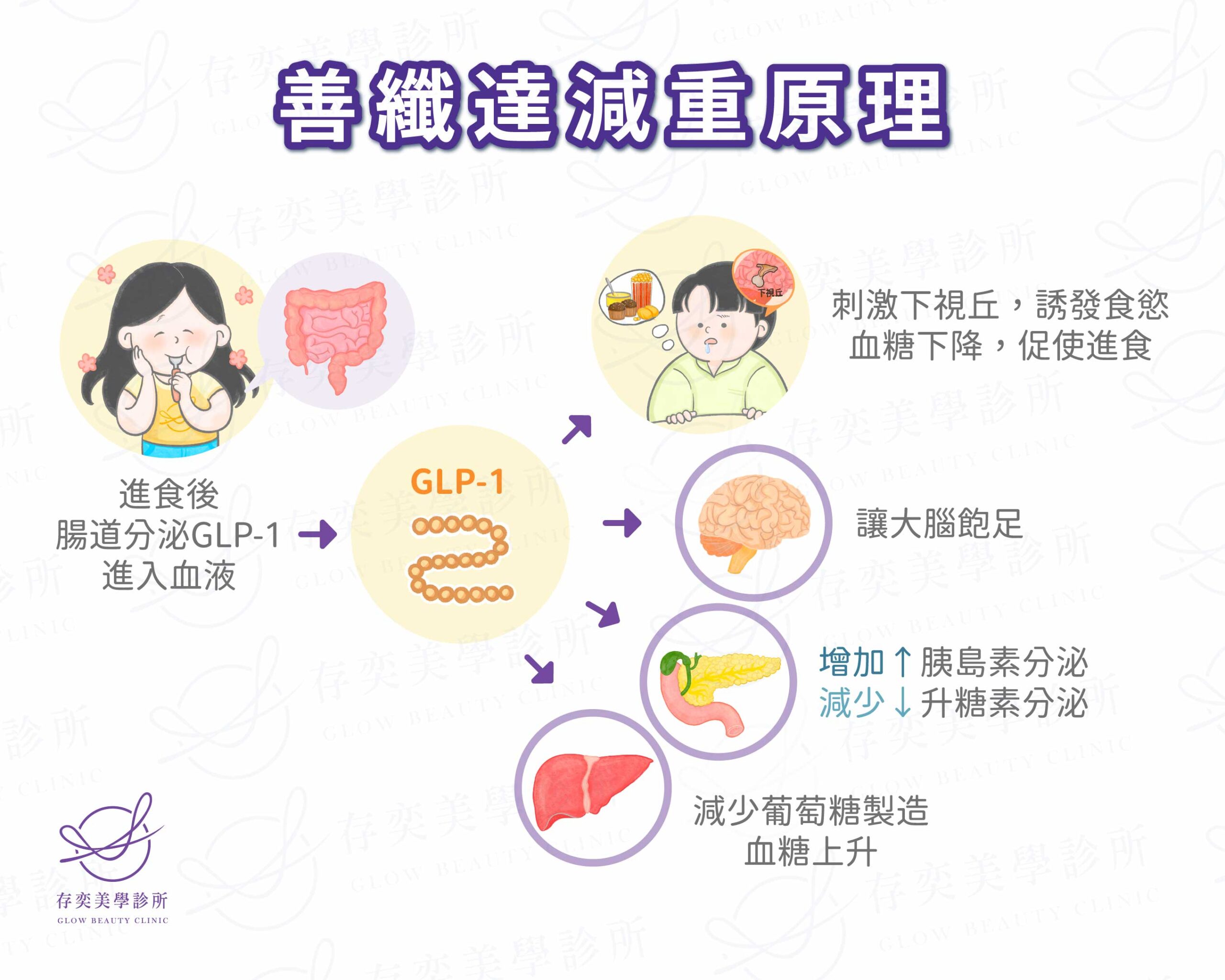 saxenda善纖達減重筆治療原理是促進胰島素分泌 saxenda善纖達減重筆治療原理是促進胰島素分泌