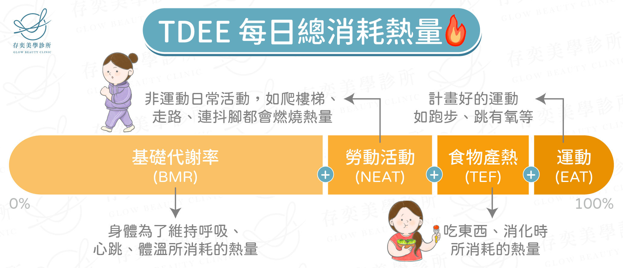 基礎代謝&每日總熱量消耗 每日總消耗熱量TDEE _工作區域 1