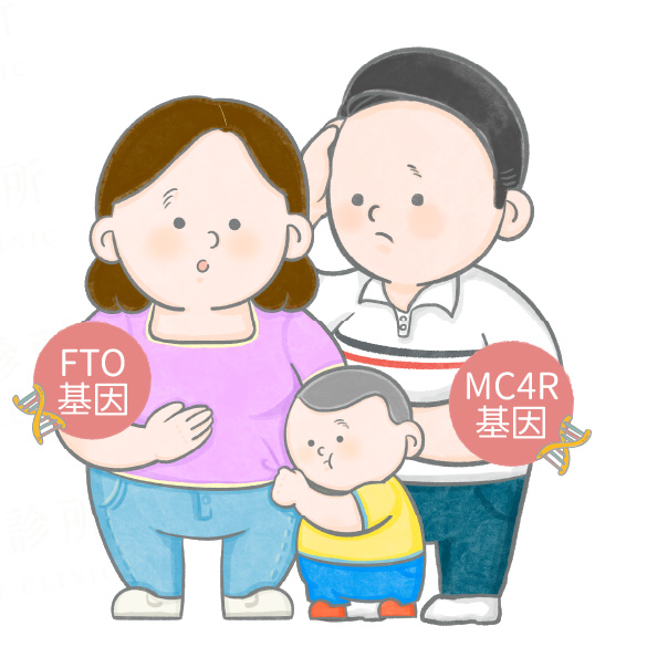 為什麼會發胖_基因遺傳