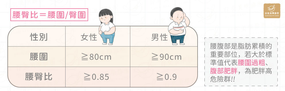 腰臀比的高危險群-2