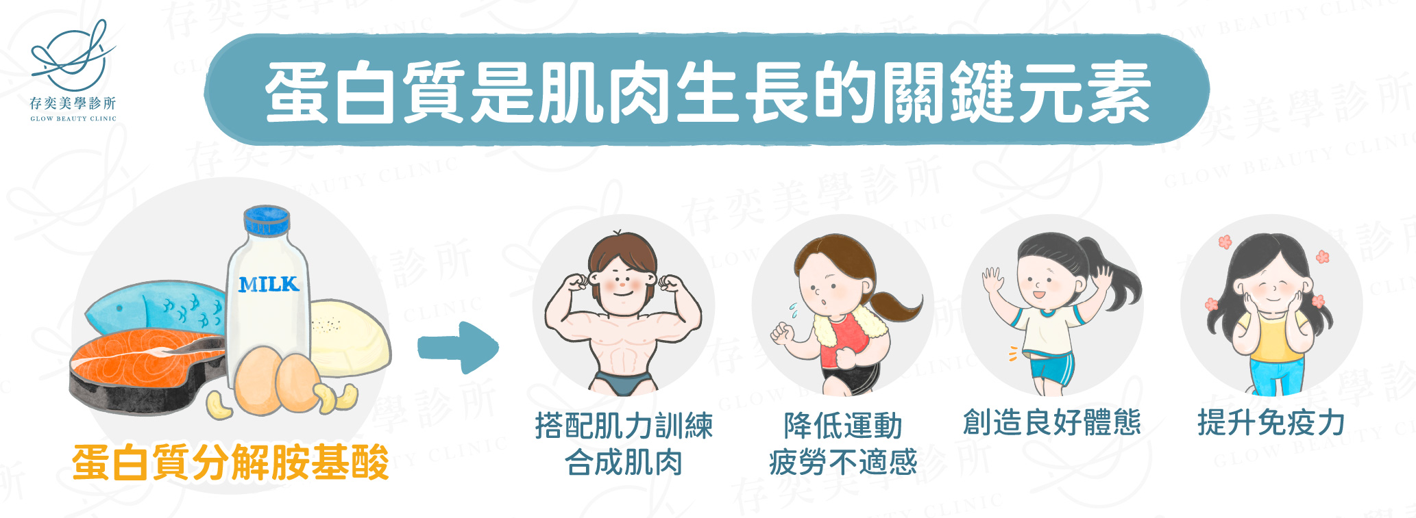 減脂金字塔-蛋白質攝取和肌力訓練:人體為了應付減重的熱量缺口,容易減掉水分與肌肉。蛋白質是肌肉成長的關鍵元素,當細胞受到肌力訓練時的刺激,需要胺基酸修補受傷組織,才會更有效的來優化肌肉蛋白合成,促進肌肉生長。因此單純攝取蛋白質不會長肌肉,減重時期需要搭配一定強度的肌力訓練並均衡營養。 蛋白質是肌肉成長的關鍵元素