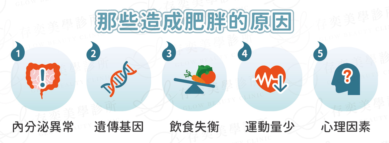 那些造成肥胖原因_工作區域 1