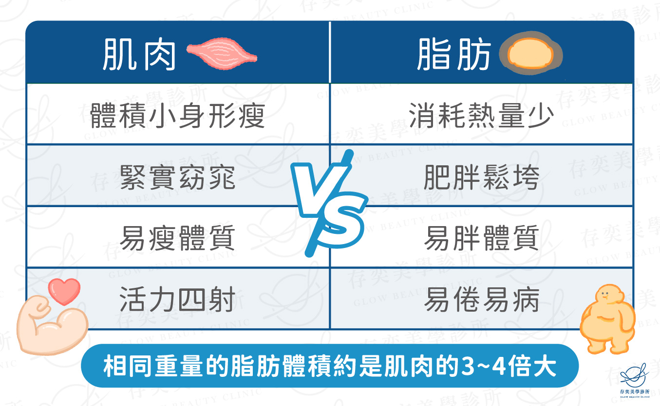 脂肪體積是肌肉3~4倍大-EMBODY-01