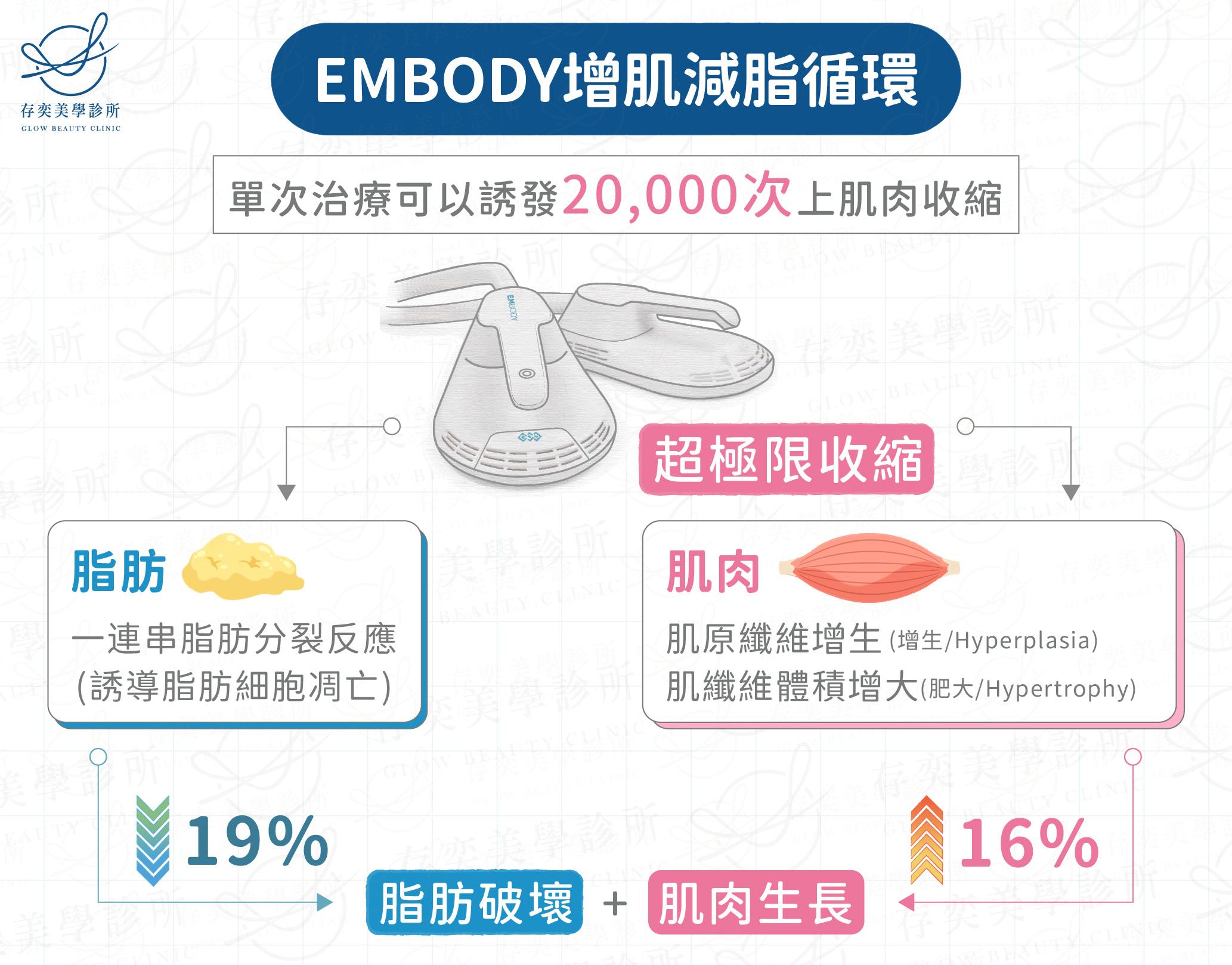 EMBODY增肌減脂循環2-01
