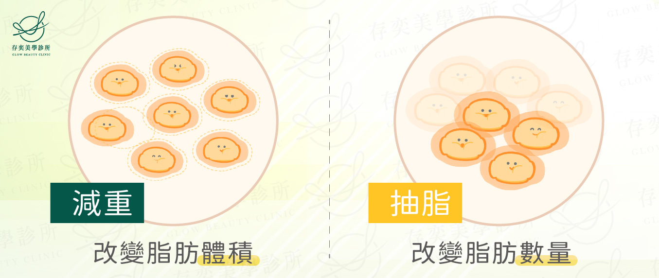 傳統抽脂手術治療特點-有效減少脂肪細胞v2-03