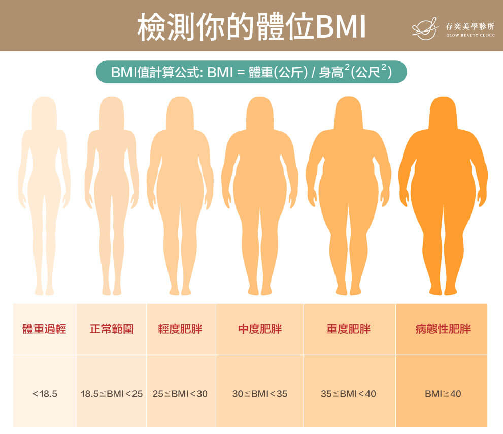 肥胖的定義_檢測你的BMI體位肥胖程度