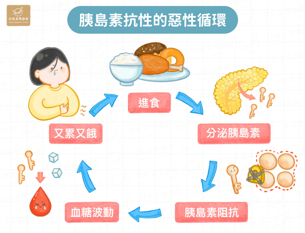 胰島素抗性的惡性循環