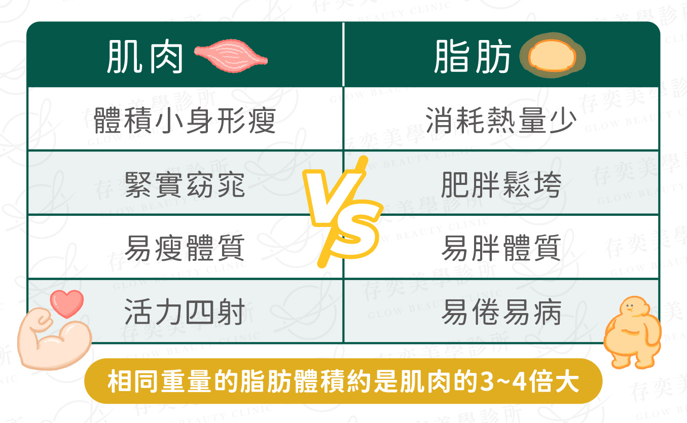 脂肪體積是肌肉3~4倍大v2-02