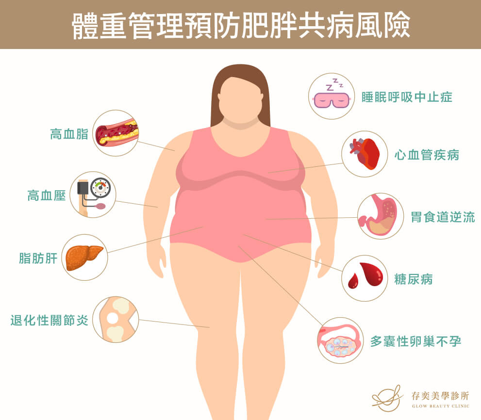 體重管理預防肥胖共病風險