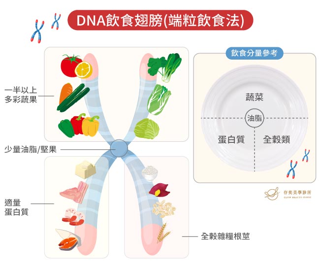 DNA飲食法(端粒飲食法)飲食比例建議_DNA飲食翅膀