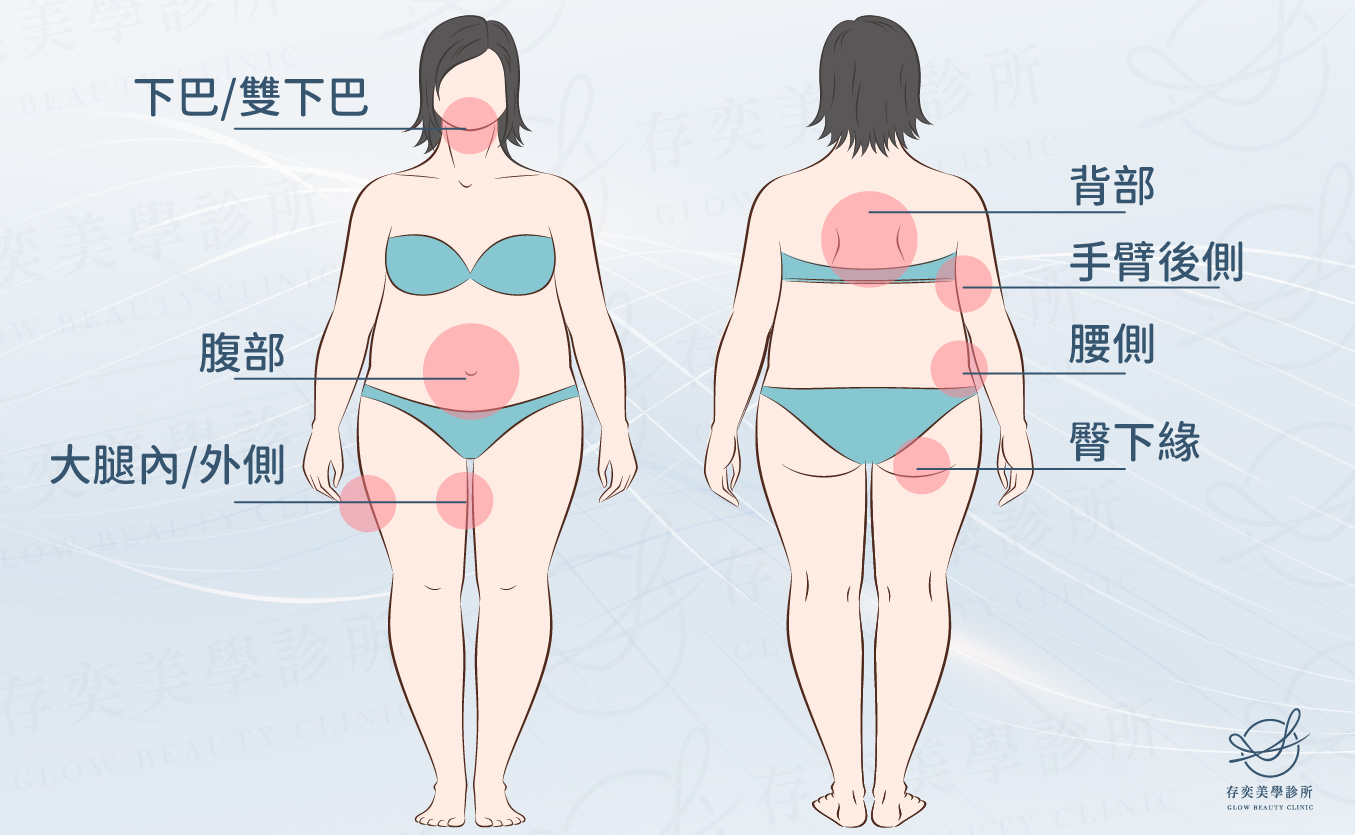 酷塑冷凍減脂適用哪些部位_工作區域 1