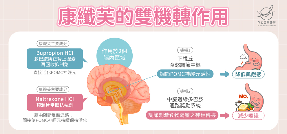 什麼是康纖芙減重藥品?康纖芙持續性釋放錠是一種抑制食慾的合法減重藥物,於2022年取得台灣TFDA核准用於體重控制。康纖芙採雙機轉作用,可增加大腦下視丘食慾調節中樞POMC神經元活性,達到降低飢餓感的效果;康纖芙可調節刺激食物渴望的神經傳導物質,同時作用於中腦的邊緣多巴胺迴路獎勵系統,可幫助減少嘴饞、抑制食慾、降低對食物渴望,因此又俗稱「用吃的瘦瘦筆」。 康纖芙的雙機轉作用