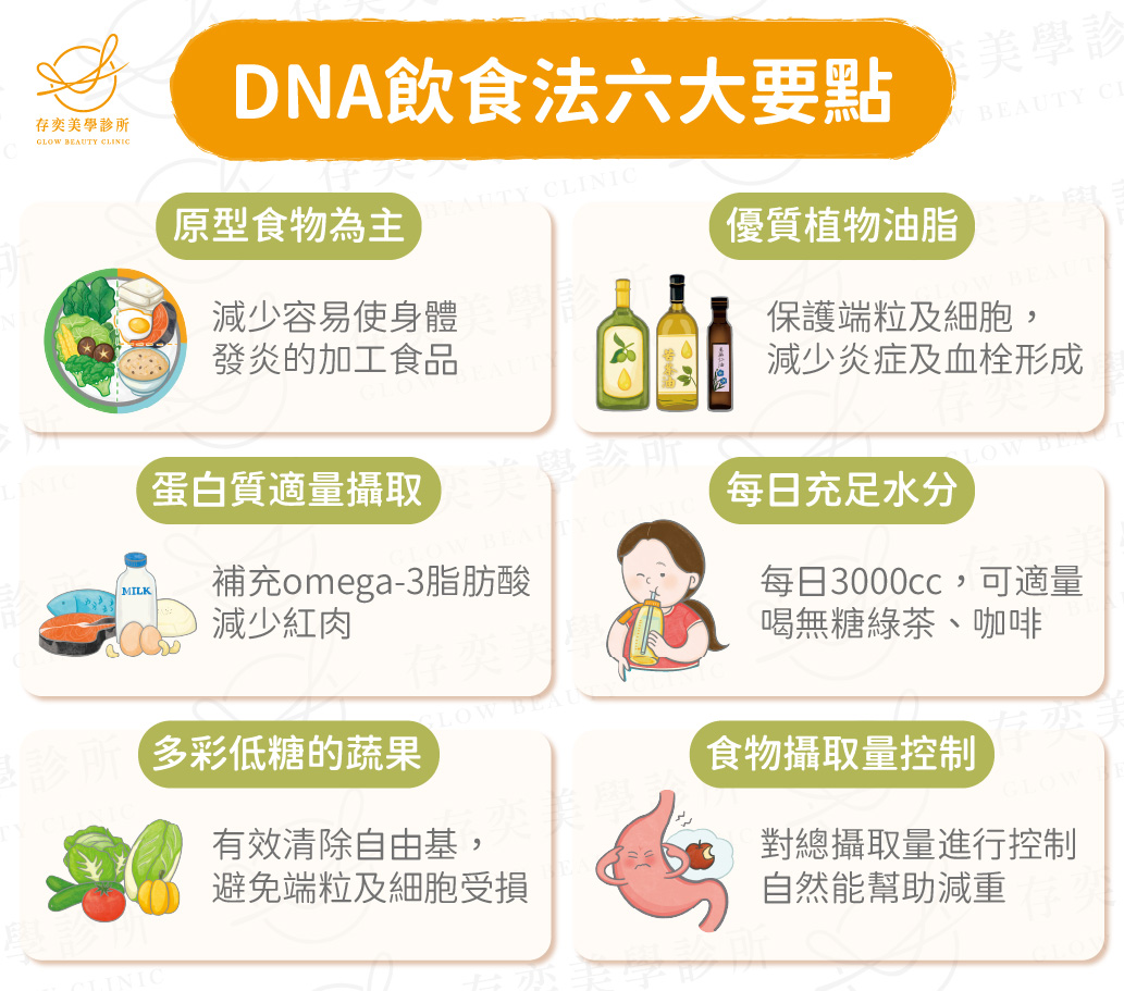 DNA飲食六大要點養成易瘦體質-手機-02