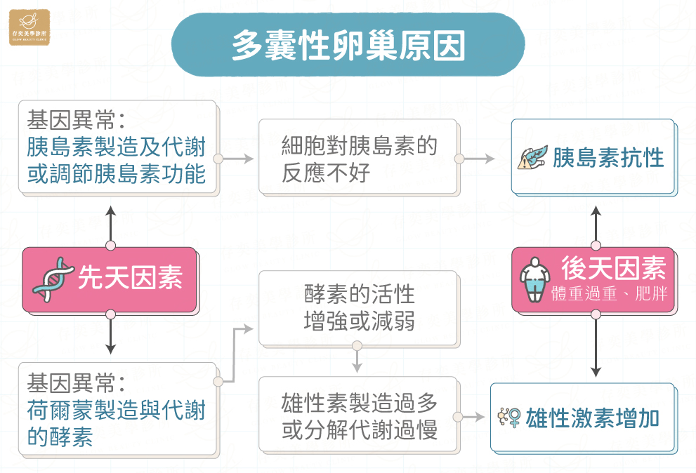 多囊性卵巢原因-4