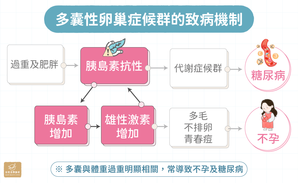 多囊性卵巢症候群與體重過重明顯相關-5