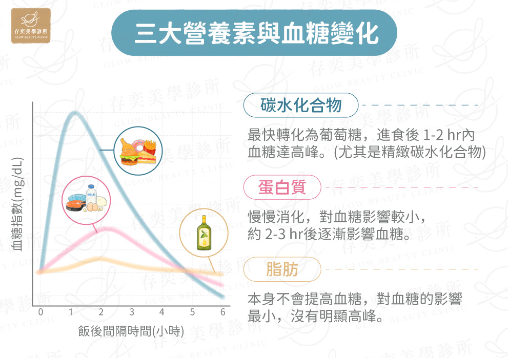 三大營養素與血糖變化