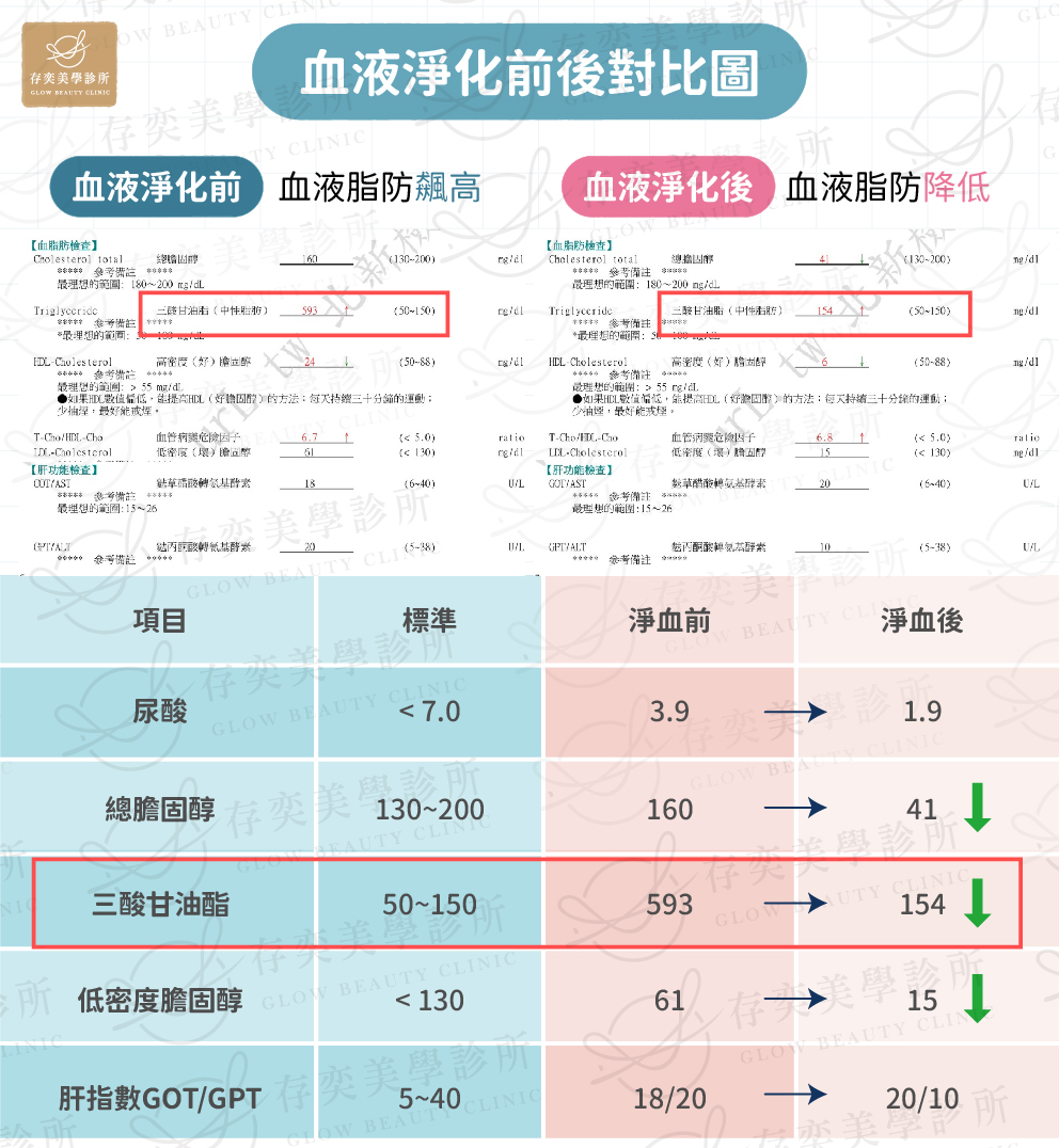 血液淨化報告