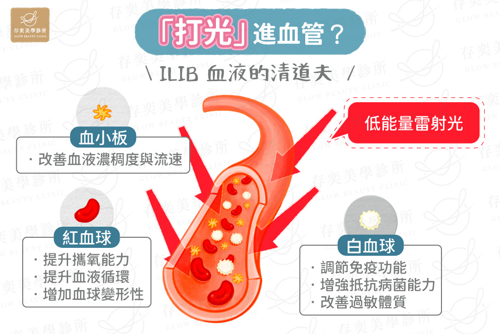 打光進血管(11407改)