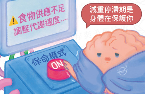 減重停滯期是身體在保護你v4