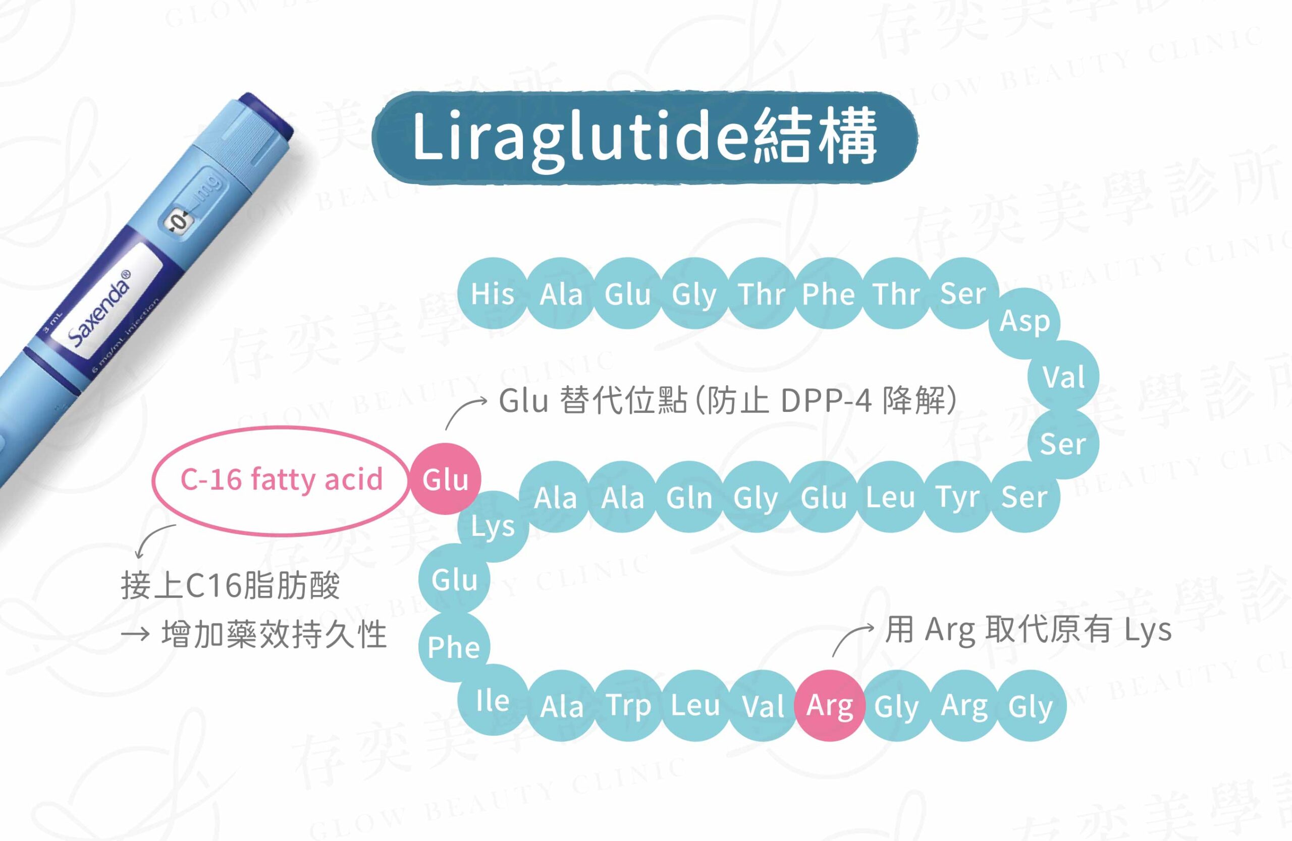 GLP-1 類藥物與人體GLP-1的結構比較圖-02