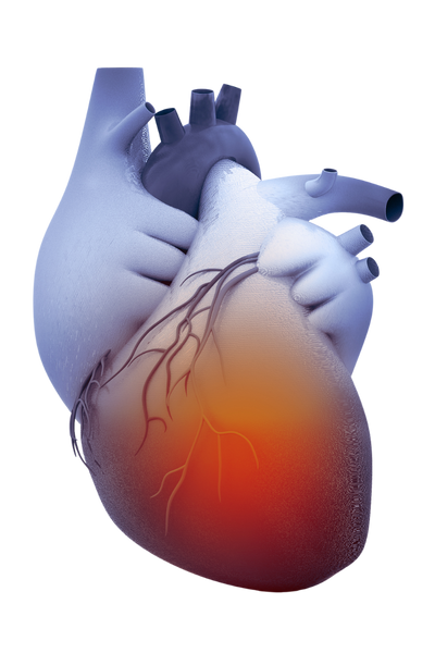 未命名設計 (10)