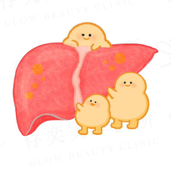 脂肪肝會不會變肝癌_脂肪堆積