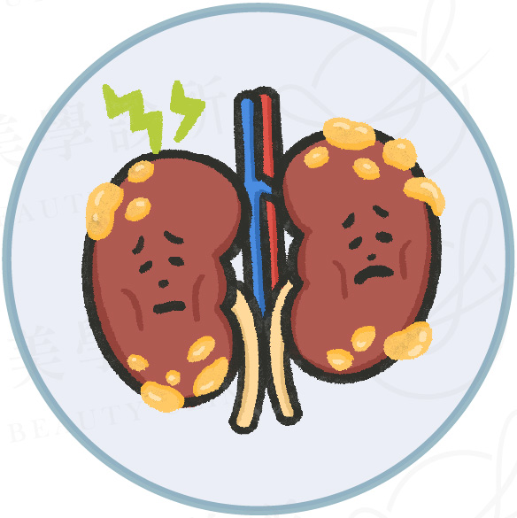 血管硬化的風險與影響_腎臟動脈硬化