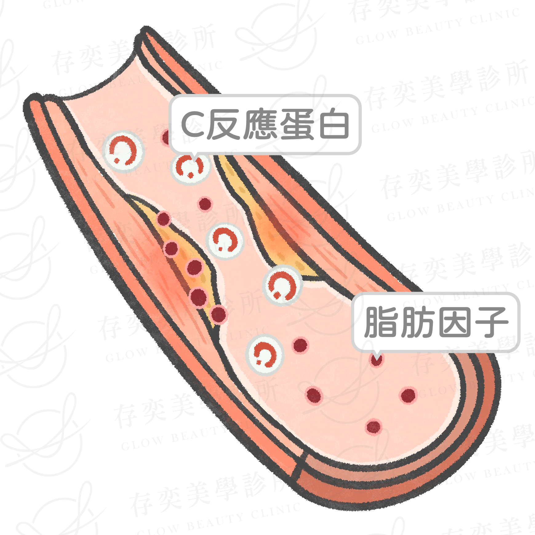 醫學改善方面2-02