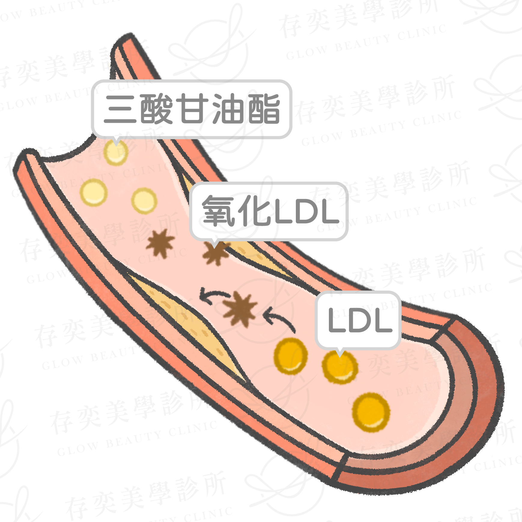 醫學改善方面2_工作區域 1
