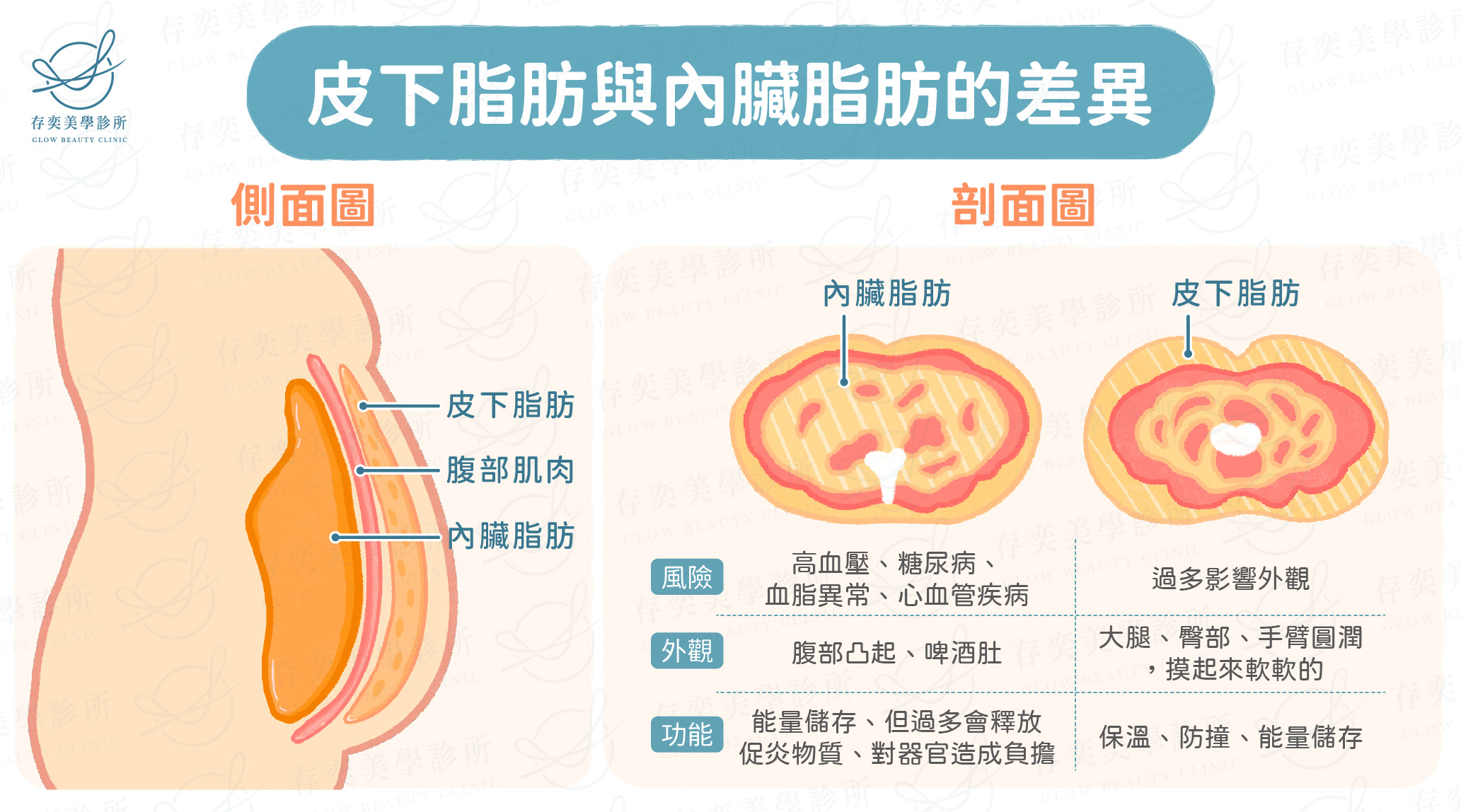 皮下脂肪與內臟脂肪的差異_工作區域 1