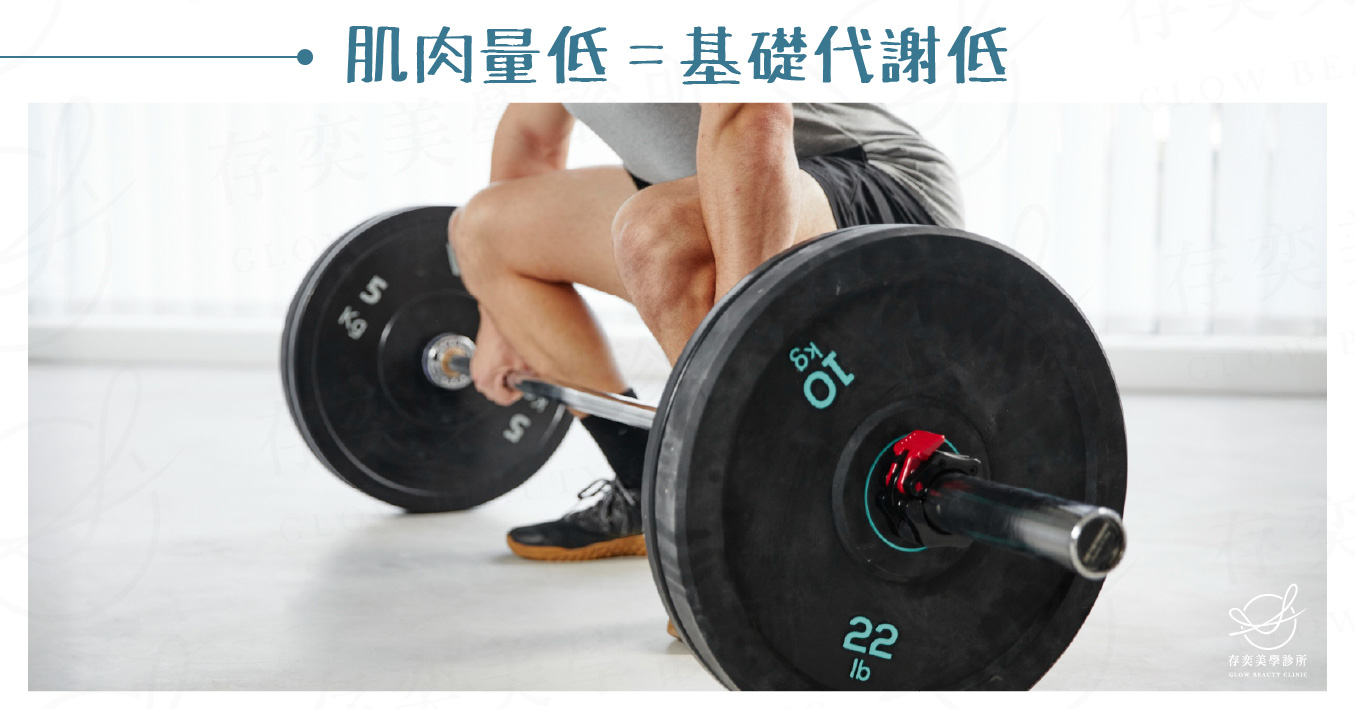 皮下脂肪過多原因3_缺乏肌力訓練