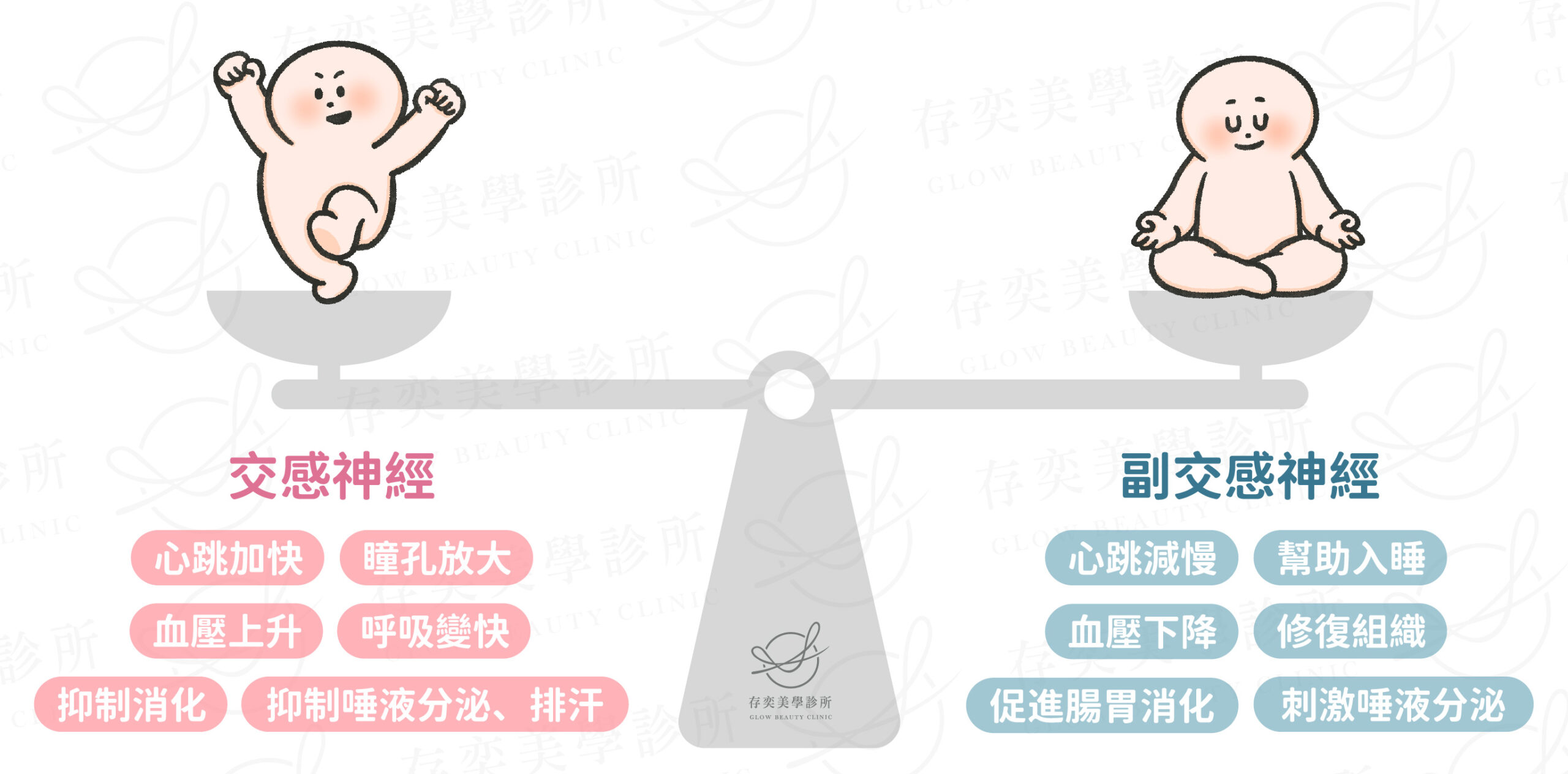 自律神經系統有兩種-01