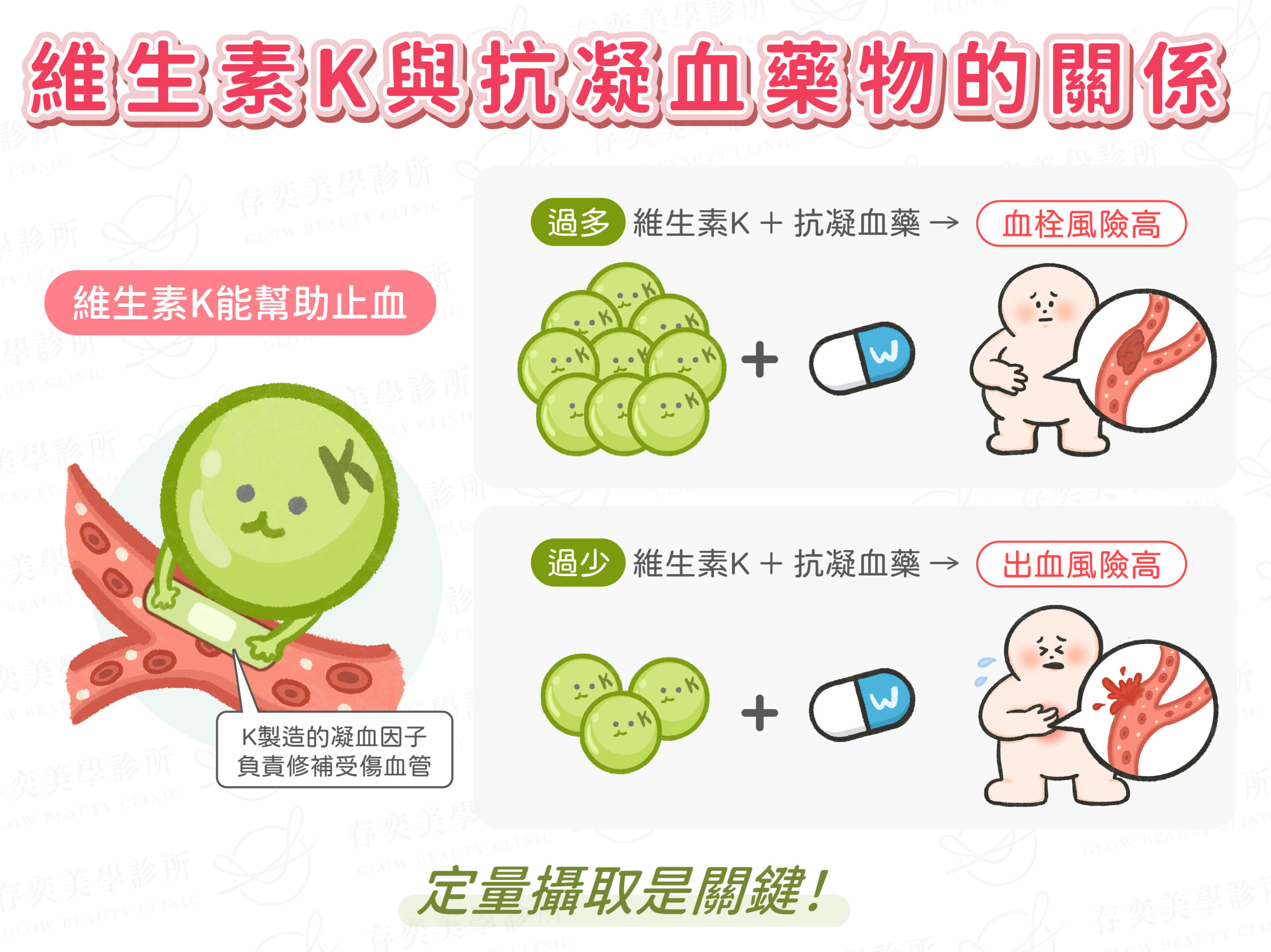 維生素 K 與 抗凝血藥物的關係V3