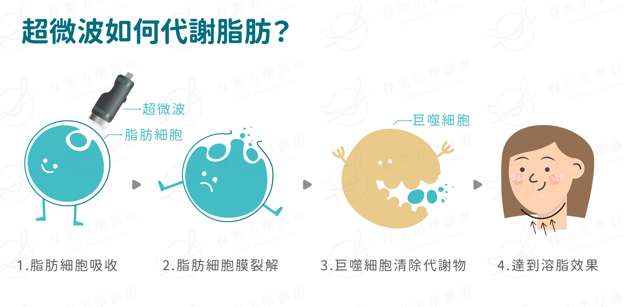 ondapro官網圖_超微波如何代謝脂肪