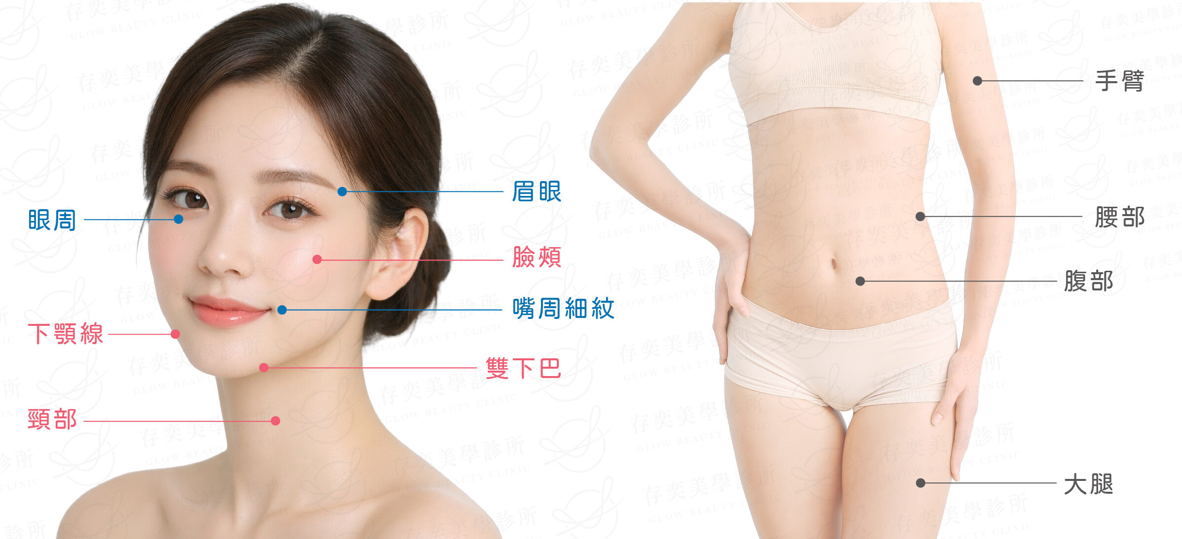 海芙音波媚必提適用部位V4