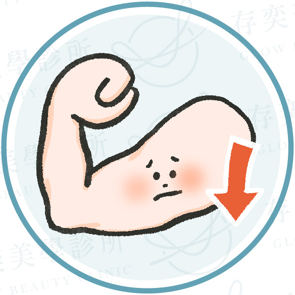 了解小腹形成原因_肌肉量不足